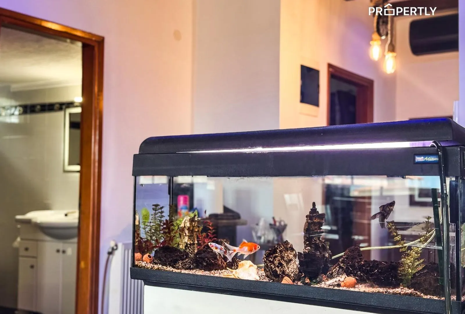 Sivas Deluxe House Apartment Nea Kallikrateia